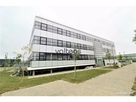 bureaux 519 m²