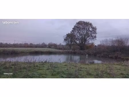 terrain de loisirs avec petit étang