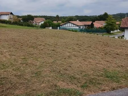 terrain constructible