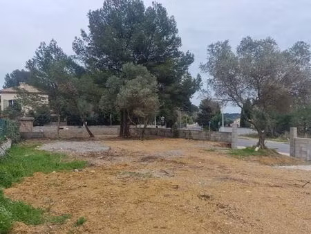 terrain 500 m² saint jean de vedas