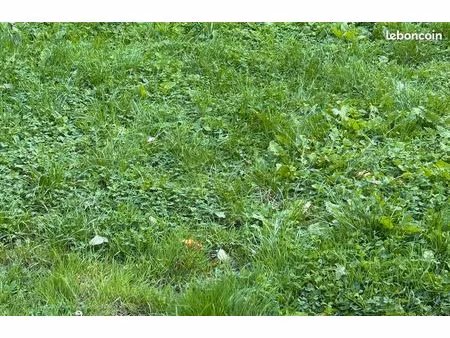 terrain constructible 5500m2