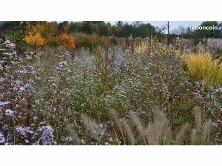 terrain 1 689 m² la londe