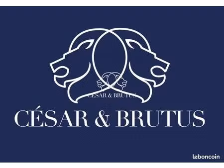 local commercial 862 m² villecresnes