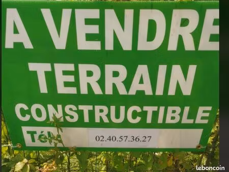 terrain constructible