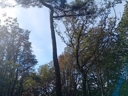 terrain 5200 m2 au bord d'un etang