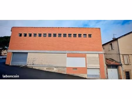 immeuble 1 500 m² graulhet