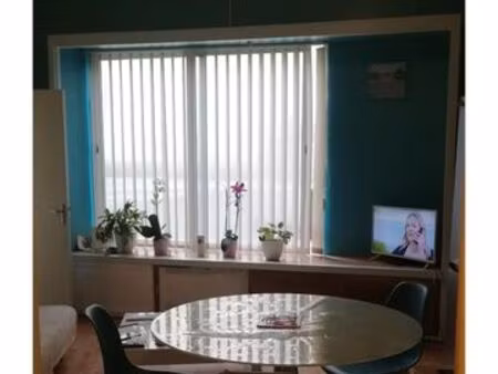 appartement 50 m2 plein centre ville