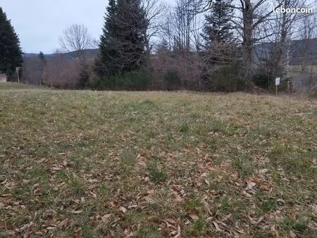 terrain constructible