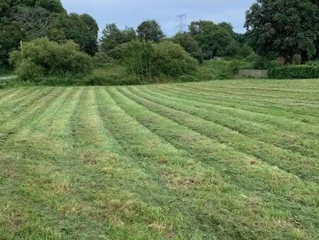 terrain constructible