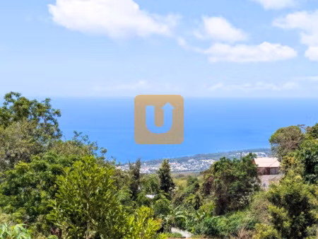 terrain de 870 m2 dont 520 m2 constructible au guillaume