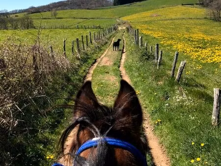 recherche propriété pour évolution d'activité équestre
