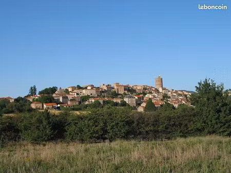 recherche bien immobilier à montpeyroux 63