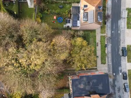 terrain à bâtir au chant d'oiseau