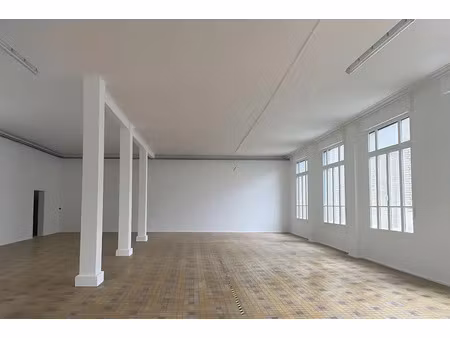 local professionnel - 330m ²