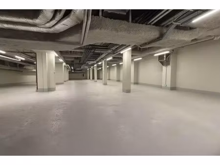 local professionnel - 300m ²