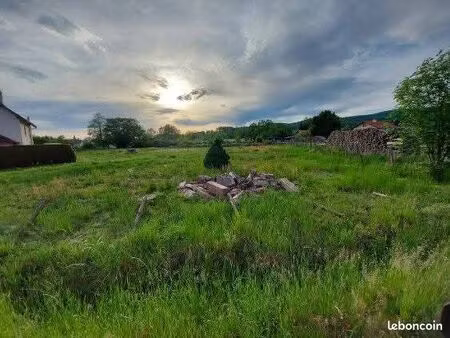 terrain constructible