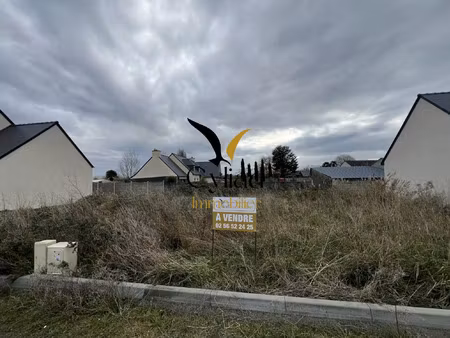 vente terrain à hirel (35120) : à vendre / 378m² hirel