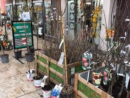 fonds de commerce jardinerie