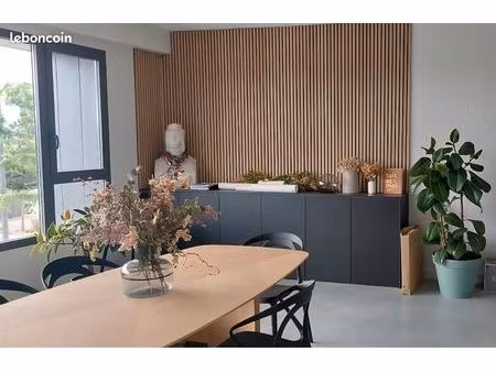 local professionnel 38m²