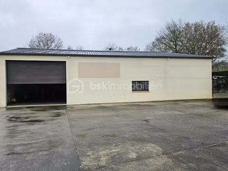 vente locaux professionnels 300 m² à nort-sur-erdre (44390)  257 250 €