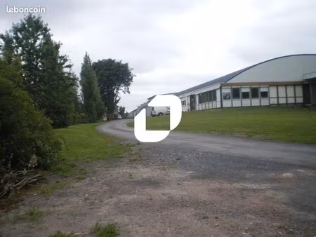 local industriel 575 m²