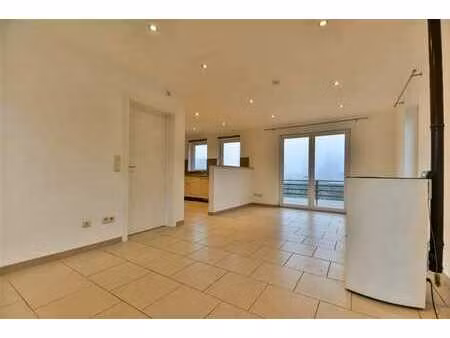 option option option !