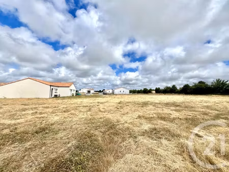 vente terrain à l'aiguillon-sur-vie (85220) : à vendre / 582m² l'aiguillon-sur-vie