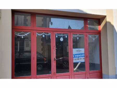 dpt yonne (89)  à vendre bleneau garage 90m2 avec maison à rénover 6 pièces 130m2