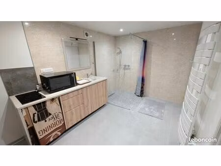 studio meublé 1 pièce