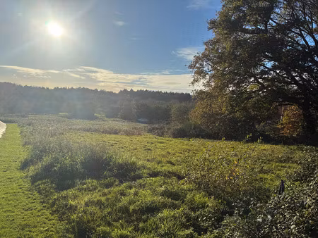 vente terrain à saint-servant (56120) : à vendre / 7517m² saint-servant