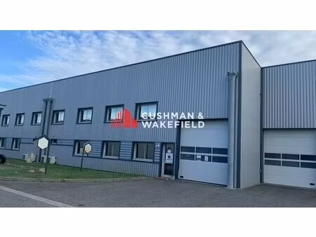 local d'activites a louer à louer