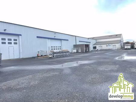 local d'activite a louer