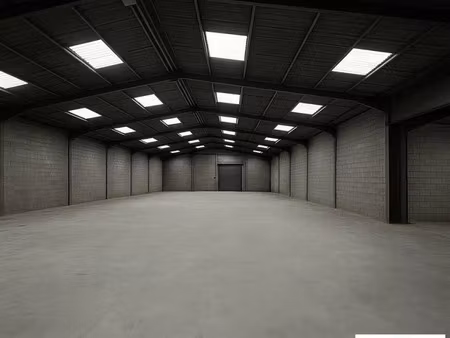 local d'activite - atelier a louer