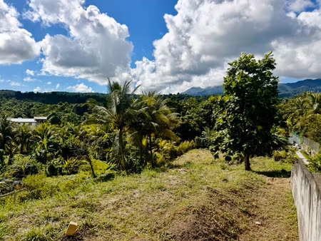 goyave : terrain à vendre avec longfort immobilier