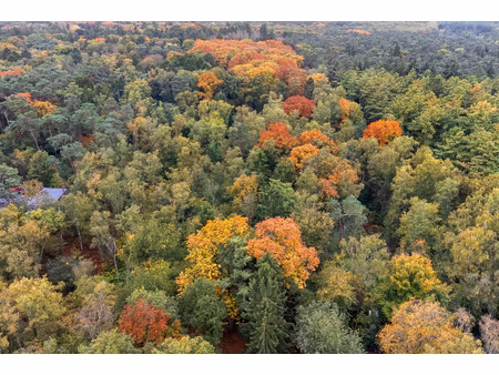 grond te koop in brasschaat