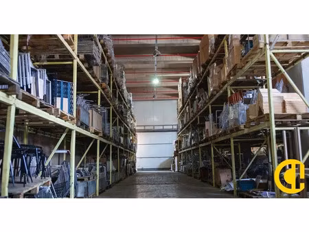 vente murs neuf local activite nord villefranche/s