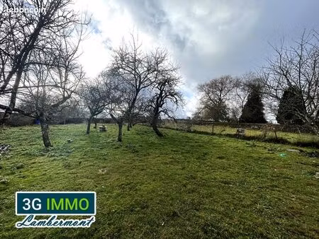 terrain 4 750 m² mexy