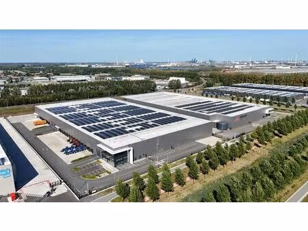 te huur magazijn  kantoren en verhard terrein in logistiek park waasland