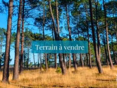 vente terrain à tosse (40230) : à vendre / 498m² tosse