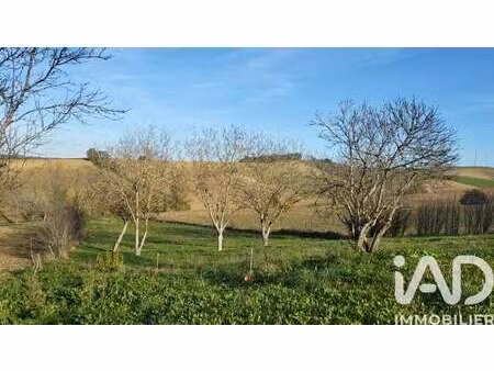 vente terrain à montgaillard (81630) : à vendre / 2357m² montgaillard