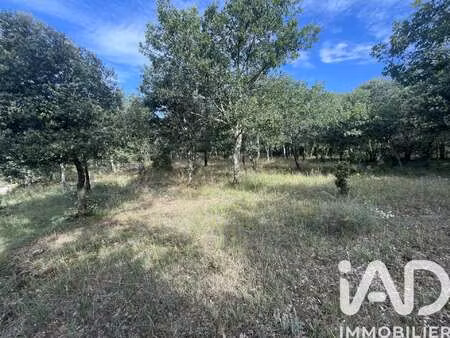 vente terrain à lagorce (07150) : à vendre / 6856m² lagorce