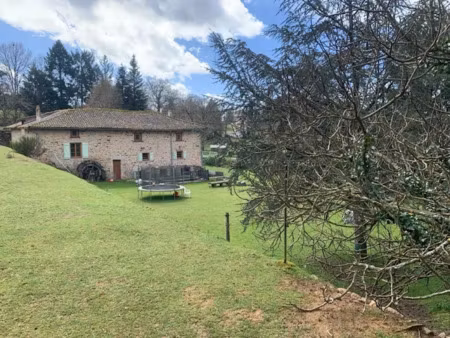 vente moulin 8 pièces 495 m² à verneuil-sur-vienne (87430)  539 500 €