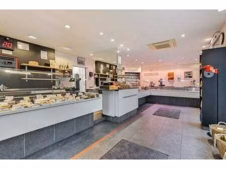 propriété commerciale unique au coin de la rue à heist