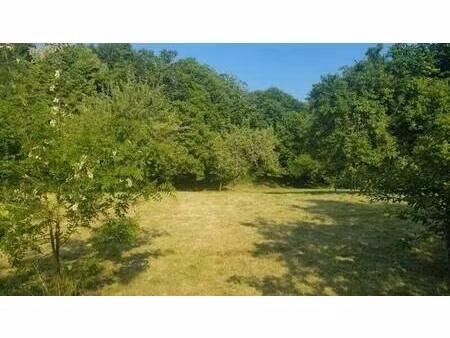 terrain constructible à vendre