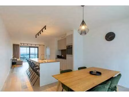 bel app. 2 chambres  meublé et lumineux avec 2 terrasses