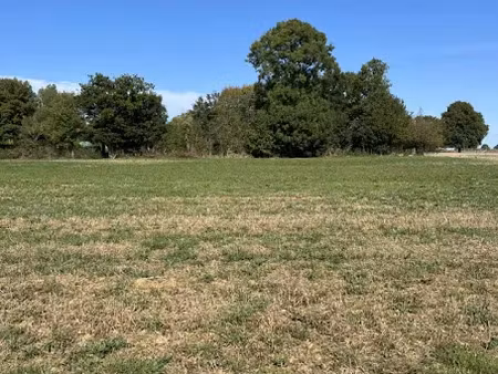 vente terrain 1464 m² à bethon (72610)  29 280 €