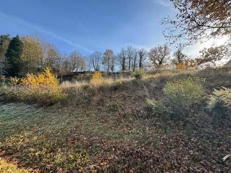 vente terrain 6040 m² saint-yrieix-la-perche (87500)