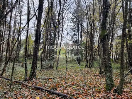 vente terrain 1800 m² à saint-leon-sur-l'isle (24110)  32 000 €