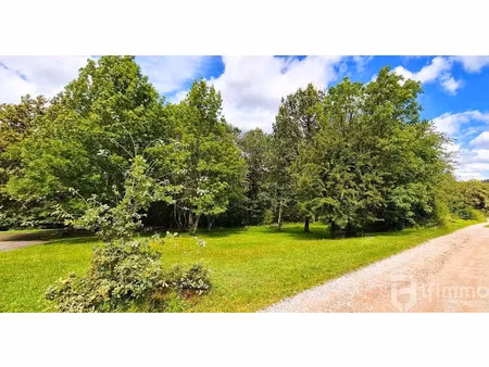 vente terrain 1300 m² à epinal (88000)  65 000 €