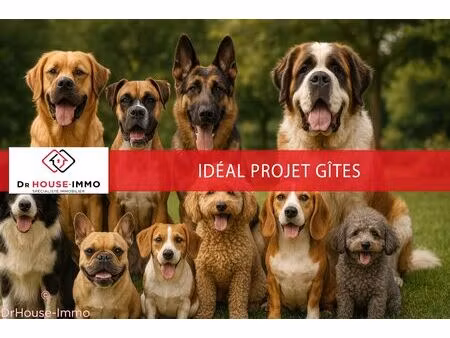 ferme + chenil(elevage) + box pour chevaux. ensemble construit sur 7 hectares de terrain a